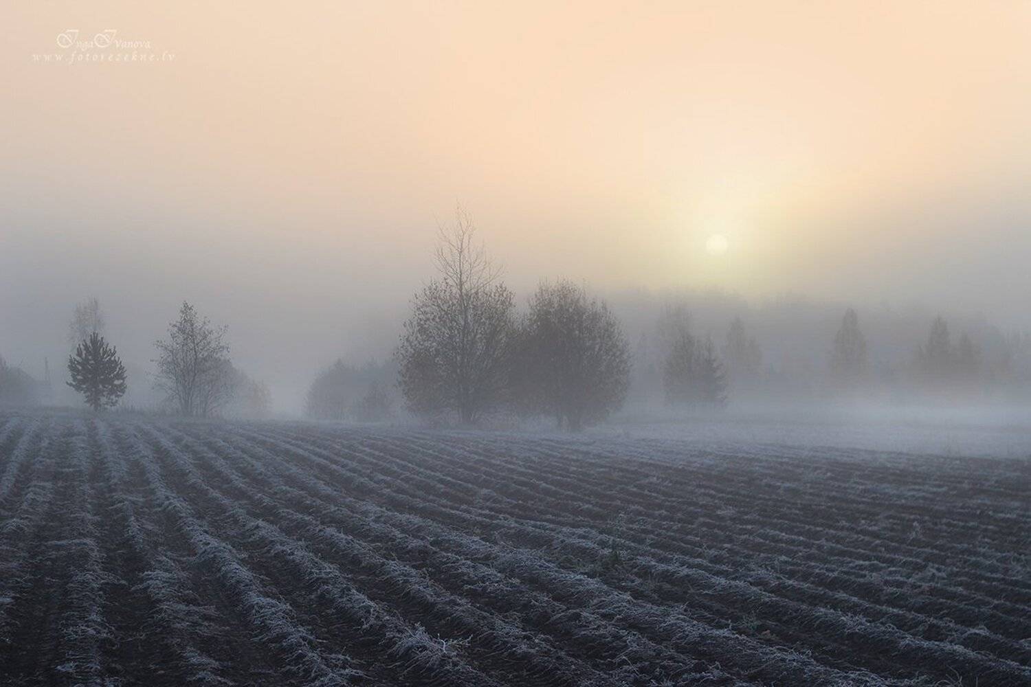 морозное утро, Инга Иванова