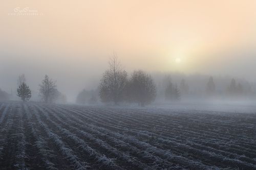 Морозное утро