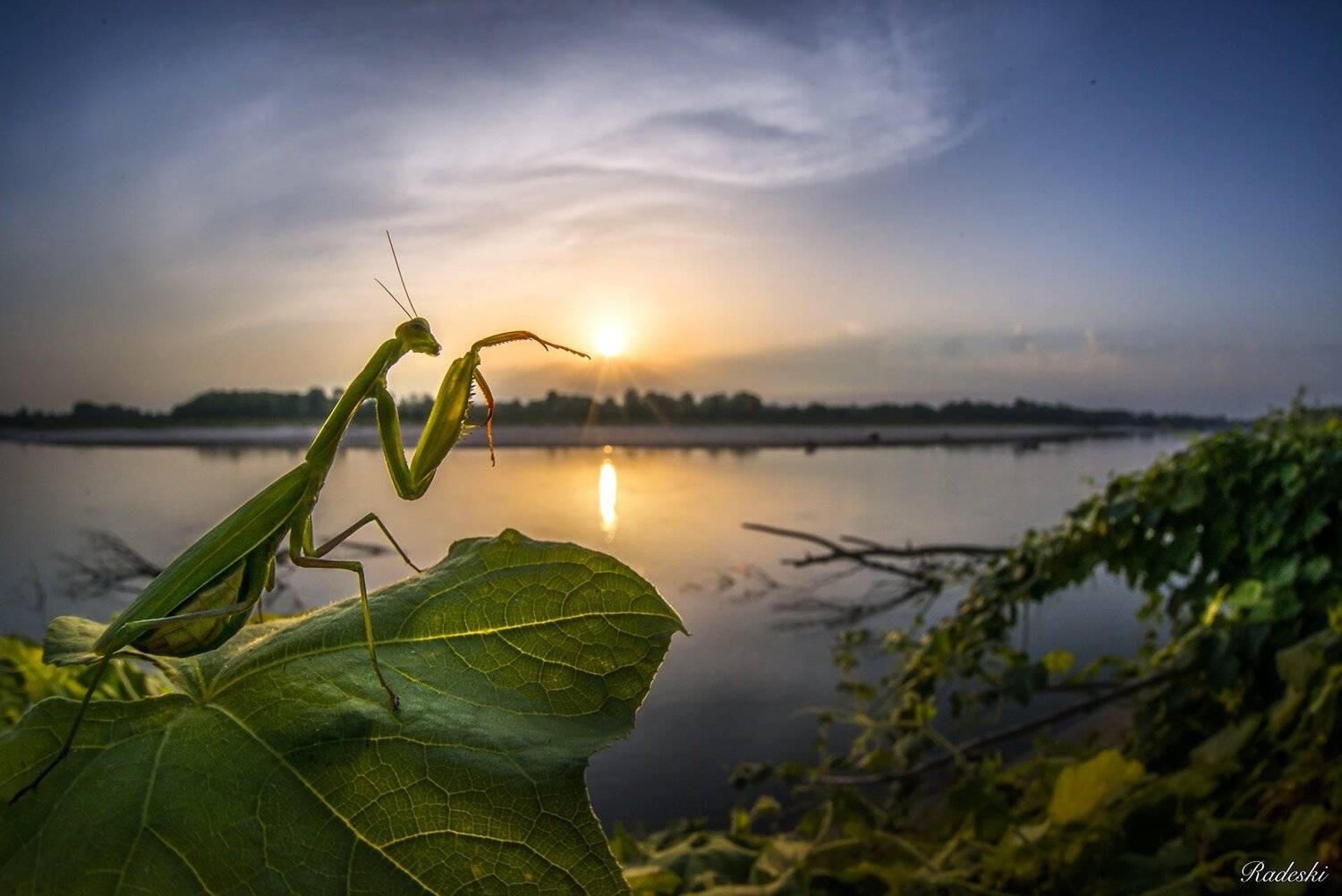 , Roberto Aldrovandi