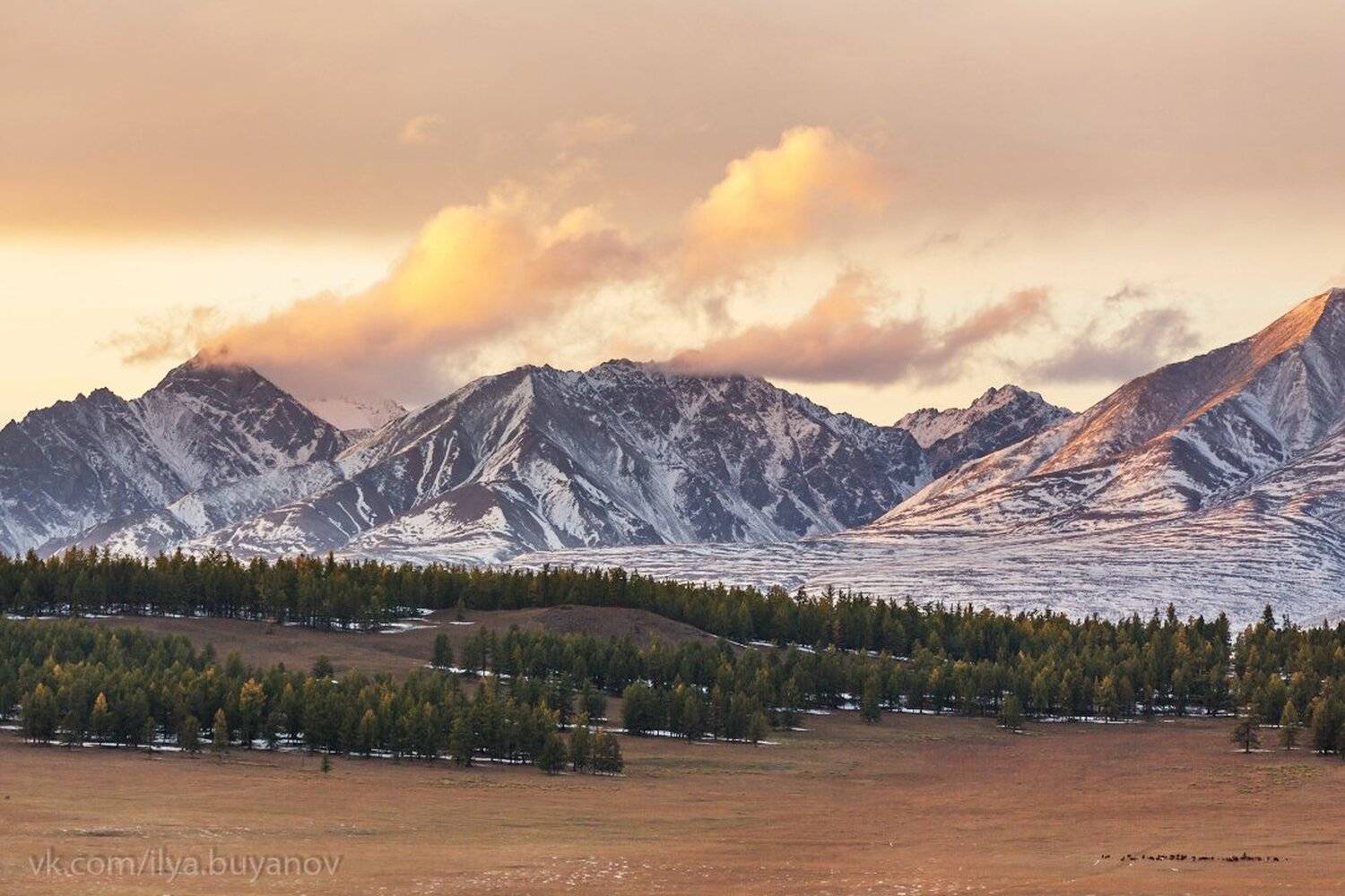 , Илья Буянов