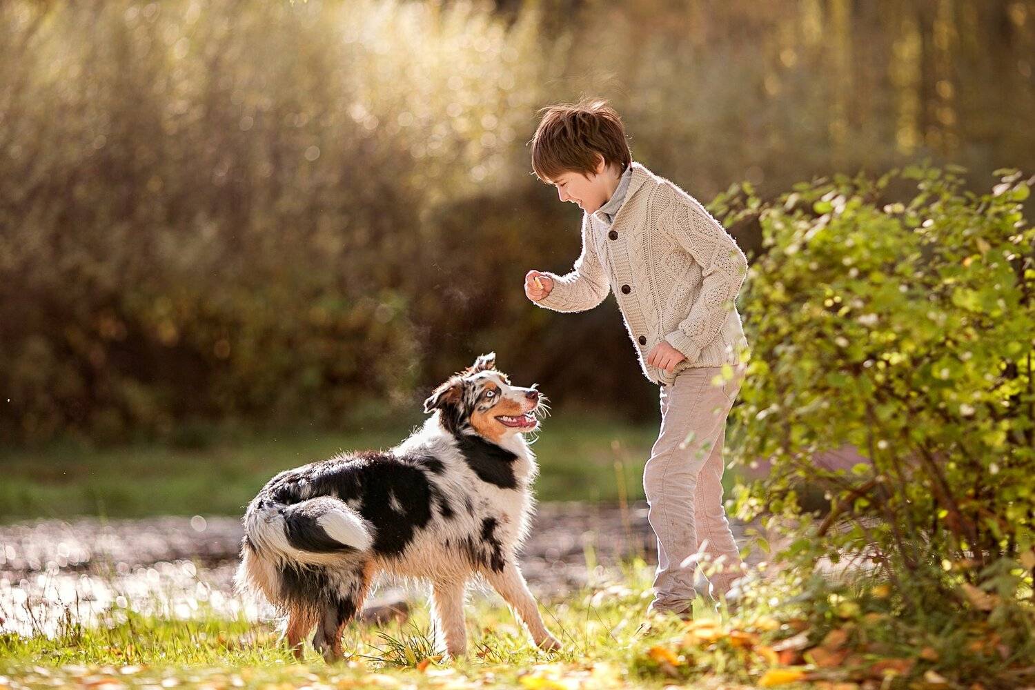 , Димант Анна