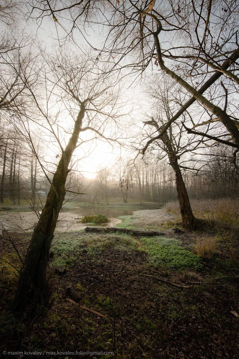 Kuzminki, Moscow, Russia, autumn, gauze, haze, morning, nature, panorama, plant, sun, tree, Кузьминки, Москва, Пономарка р., Россия, Чурилиха, дерево, дымка, мгла, осень, панорама, природа, растение, солнечно, солнце, туман, утро, Максим Ковалёв