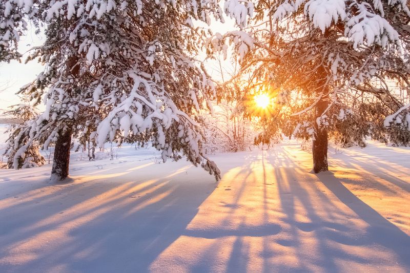 Один день ноября фото превью