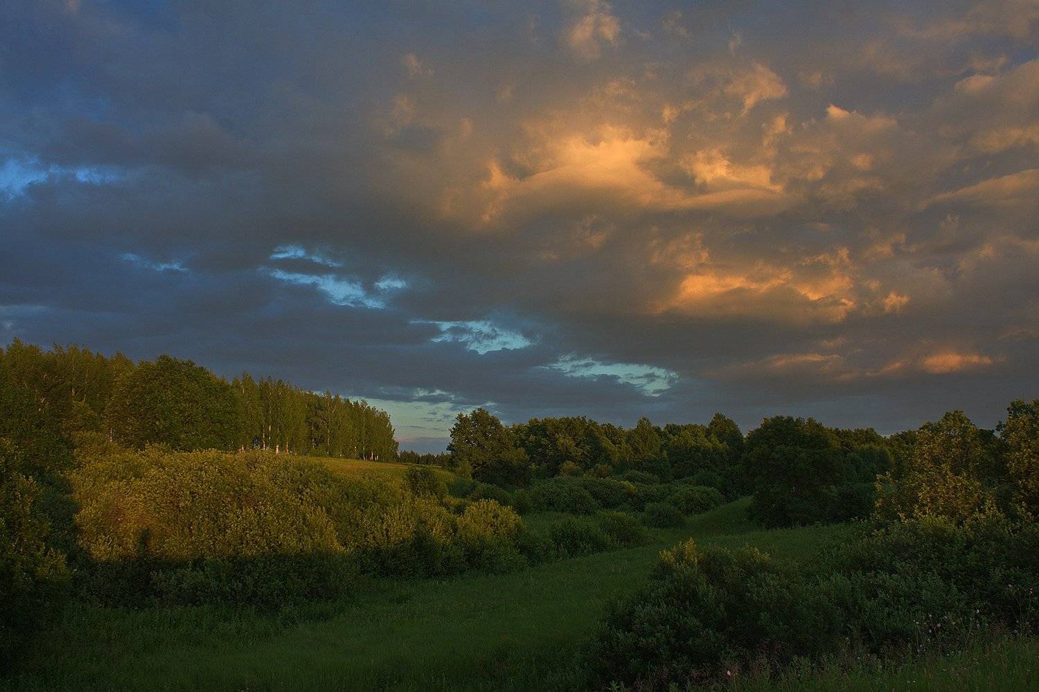 ***, Каранов Николай