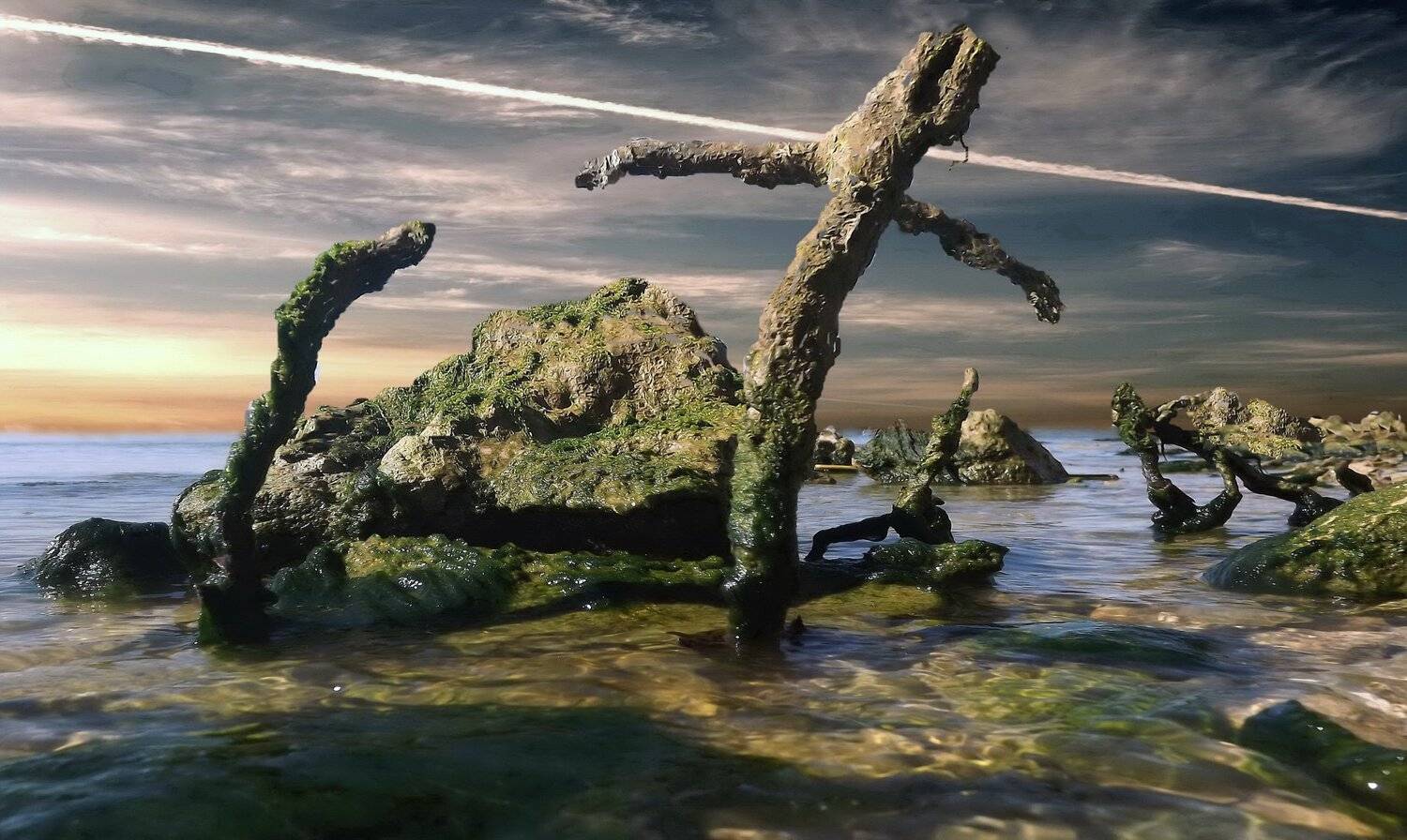 одесса, Сергей Кошелев