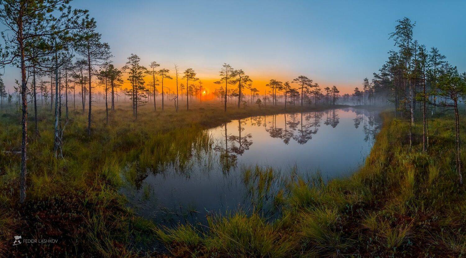 фототур, ленинградская область, деревья, сосна, рассвет, туман, отражение, покой, озеро, заря, лето, небо, солнце,, Лашков Фёдор