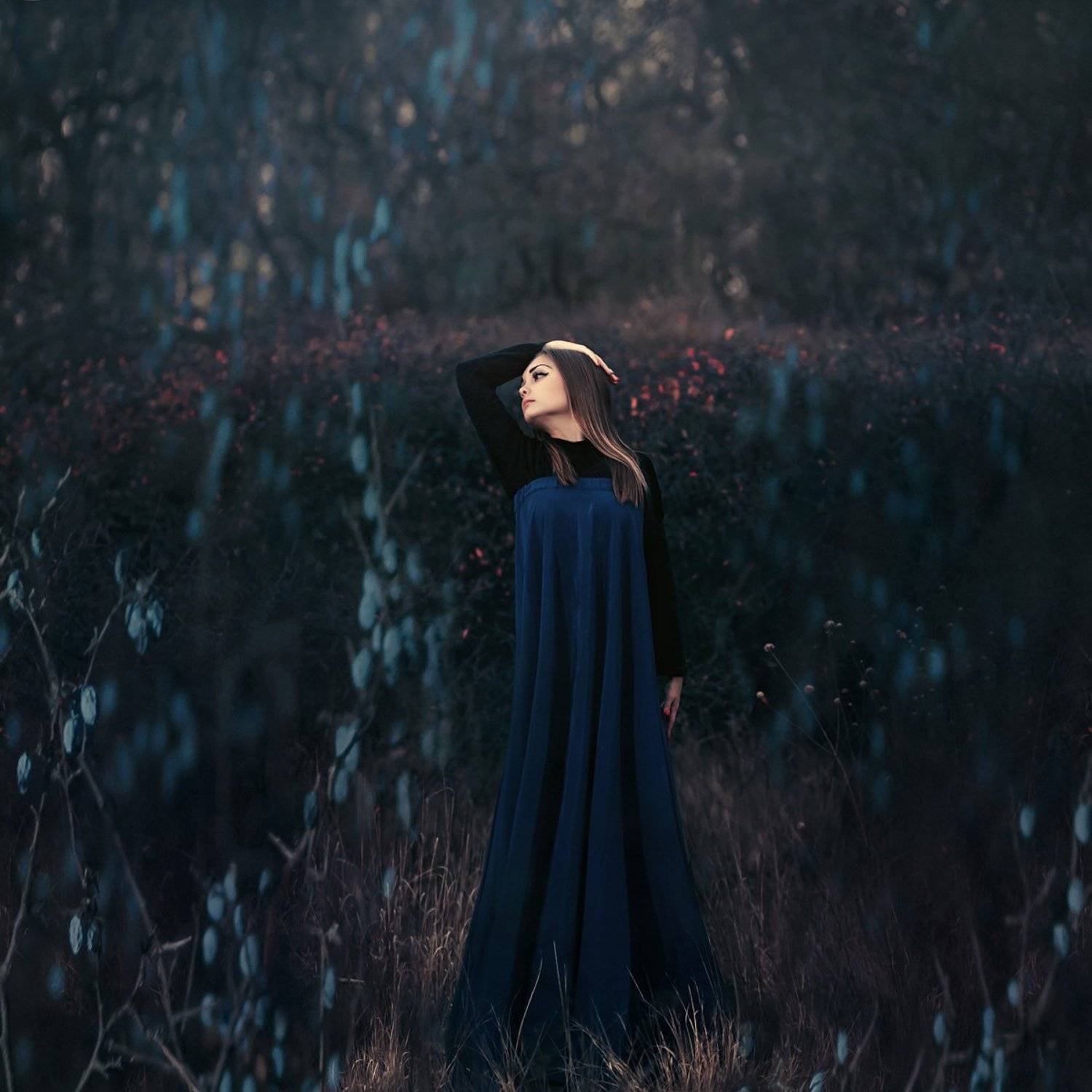 девушка, сны, осень, темный ключ, терновник, арт, синий,, Марина Кондратова