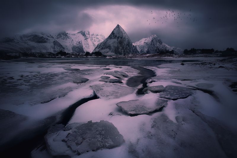 Десятка фото превью