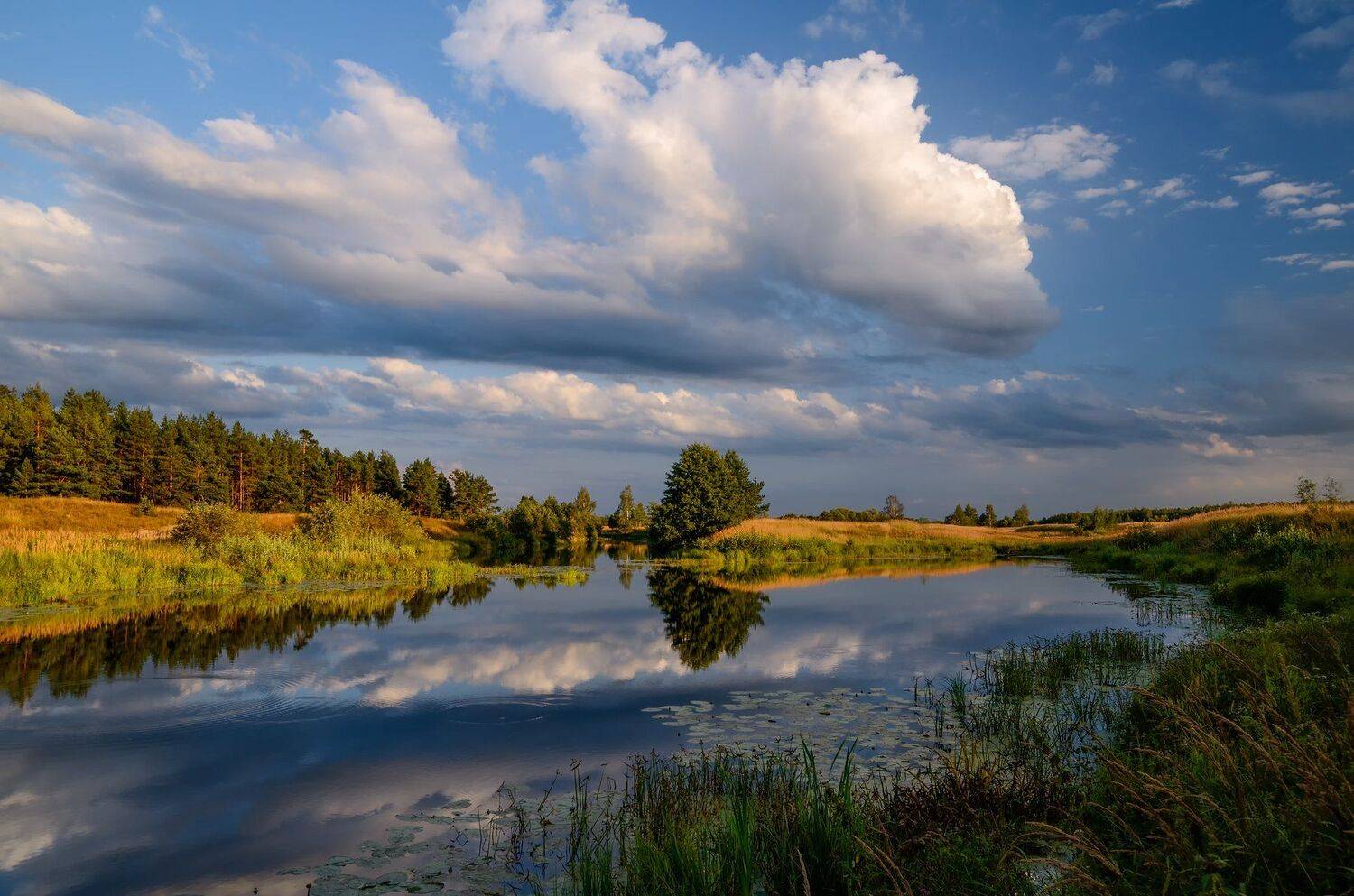вечер,река,заводь,небо,облака,отражение, Виталий Полуэктов