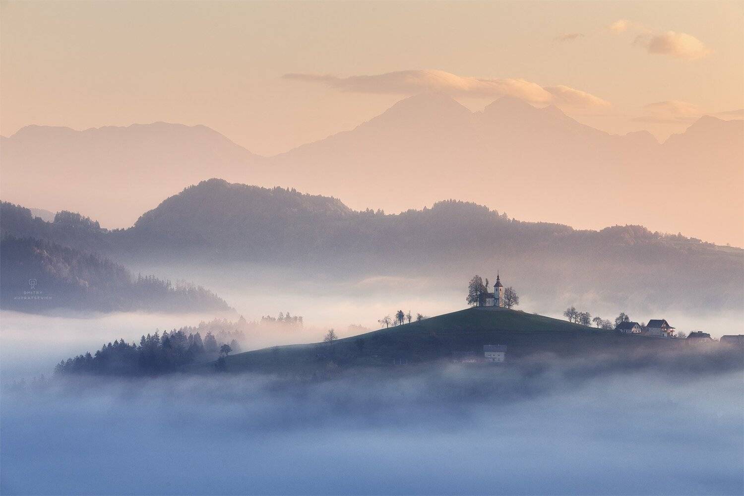 , Дмитрий Купрацевич