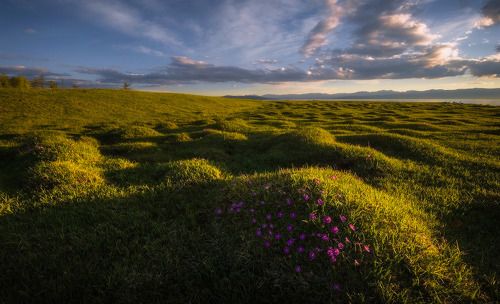 В закатном свете...