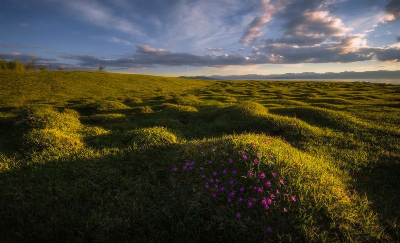 монголия, хубсугул В закатном свете... фото превью