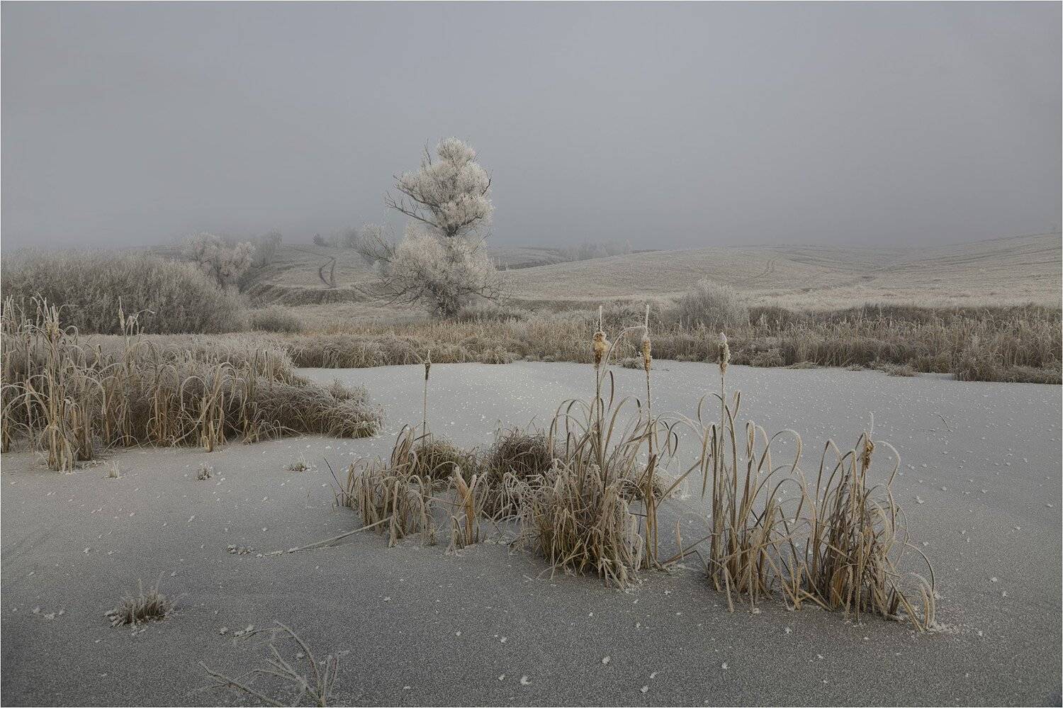 осень, Виктор Кириллов