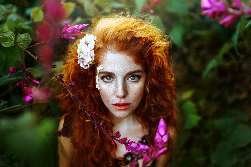 фото превью