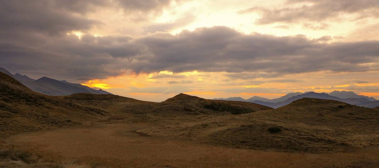 , Игорь Дубровский