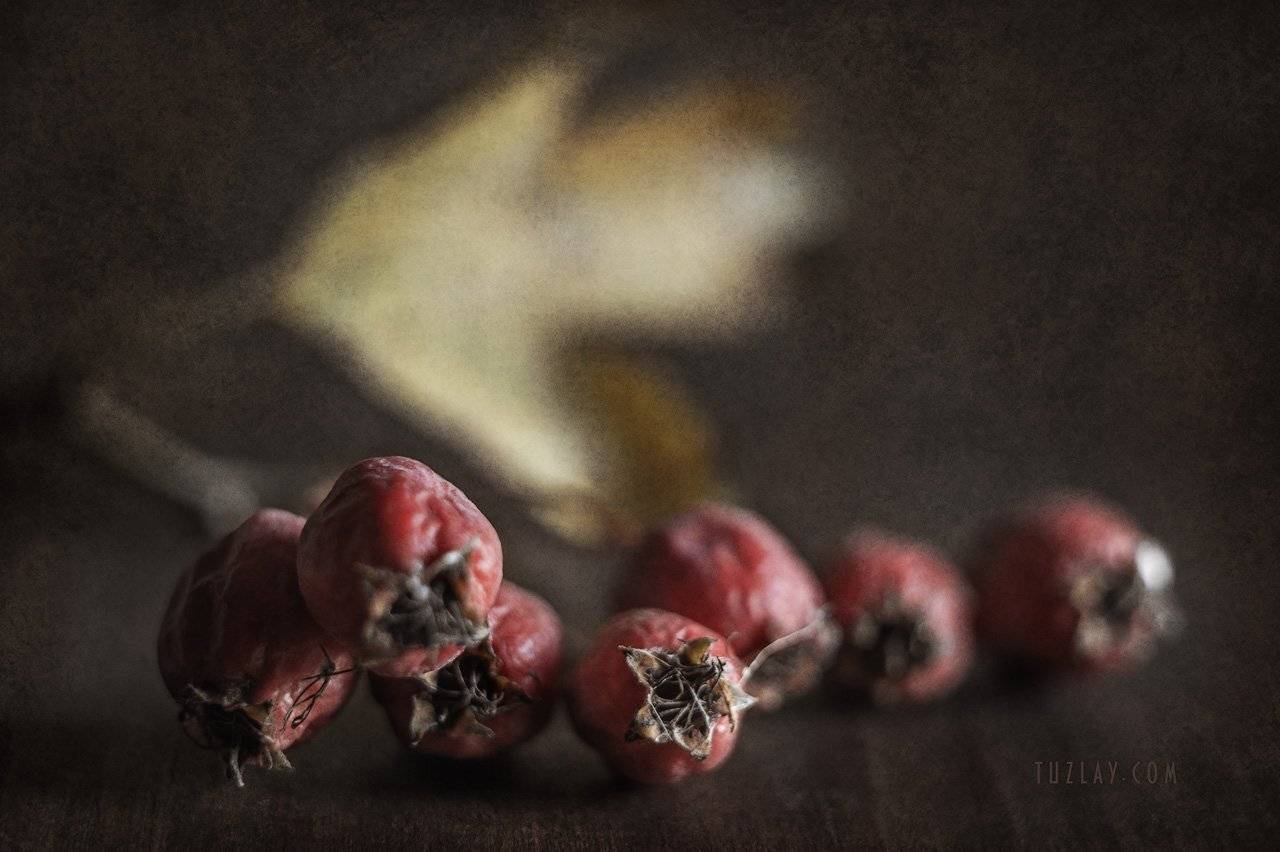 , Владимир Тузлай