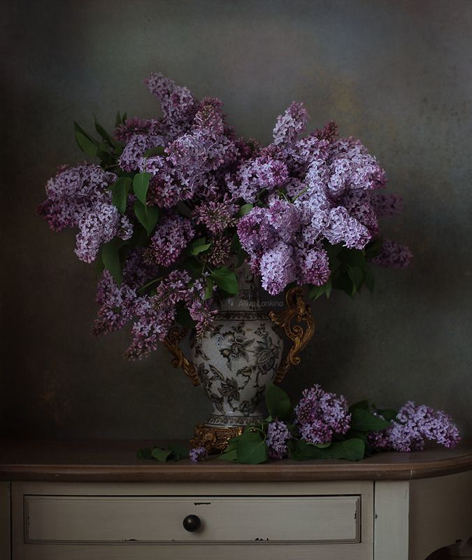 натюрморт, цветы, букет, сирень, весна, ваза, свет *** фото превью