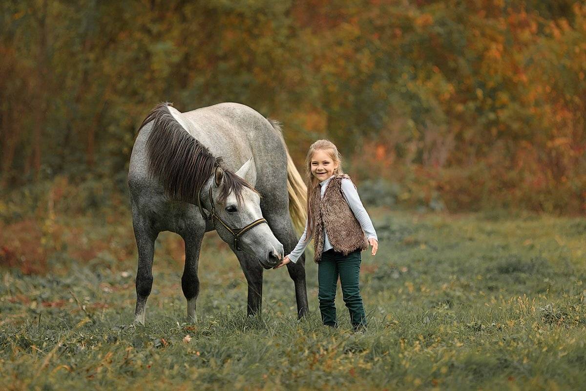 малышка, девочка, счастье, природа, тепло, осень, лошадка, фото с животными, детский и семейный фотограф, эмоции, радость, лес, деревья, солнышко, детская радость, Францева Ольга