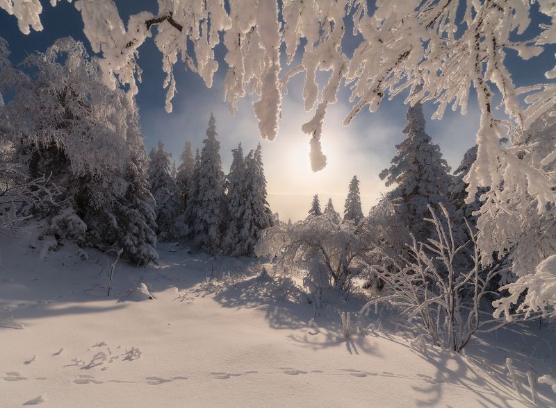 Из детских снов фото превью