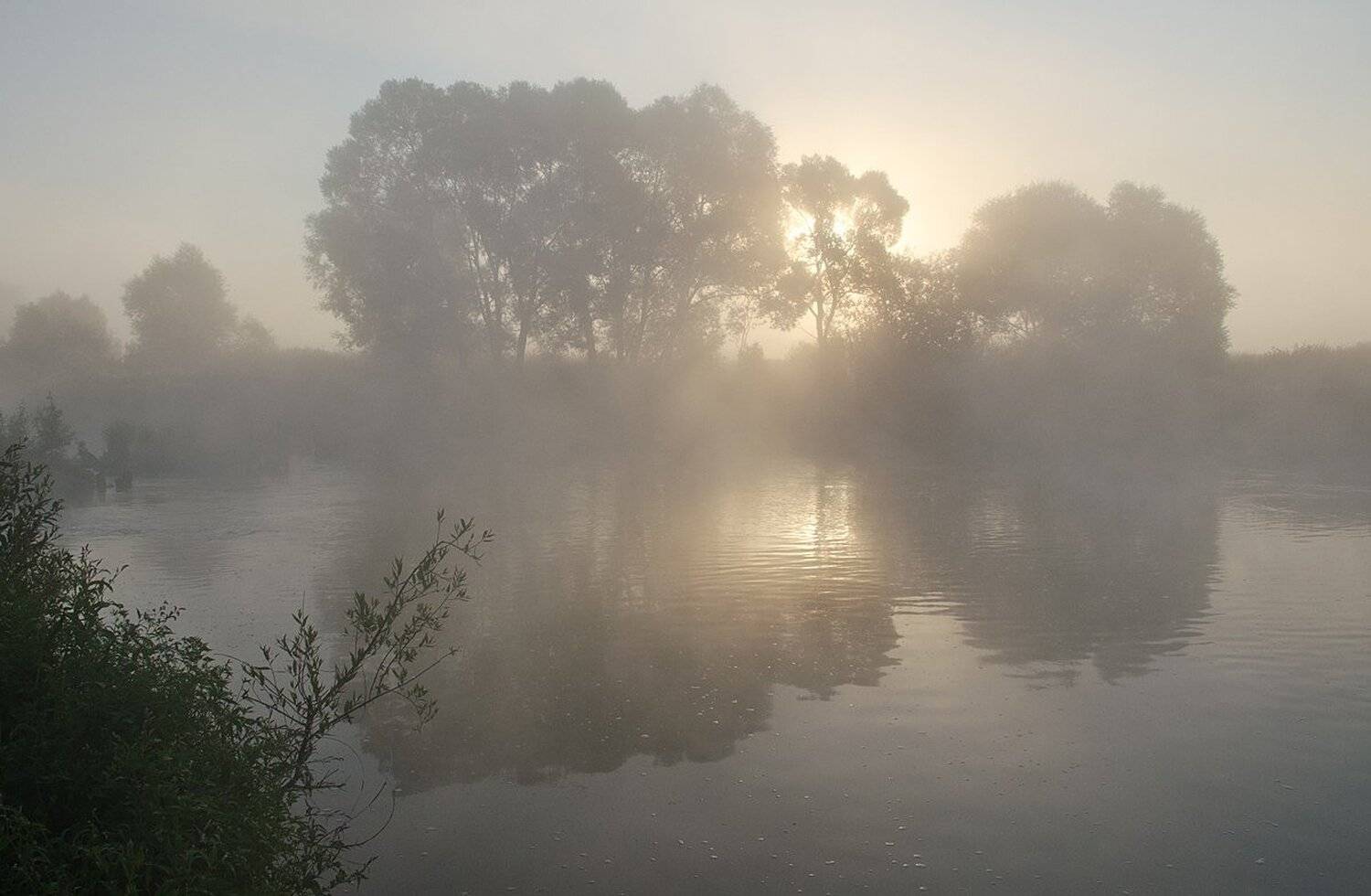 утро, омут, река, упа, першино, пейзаж, Михаил Агеев