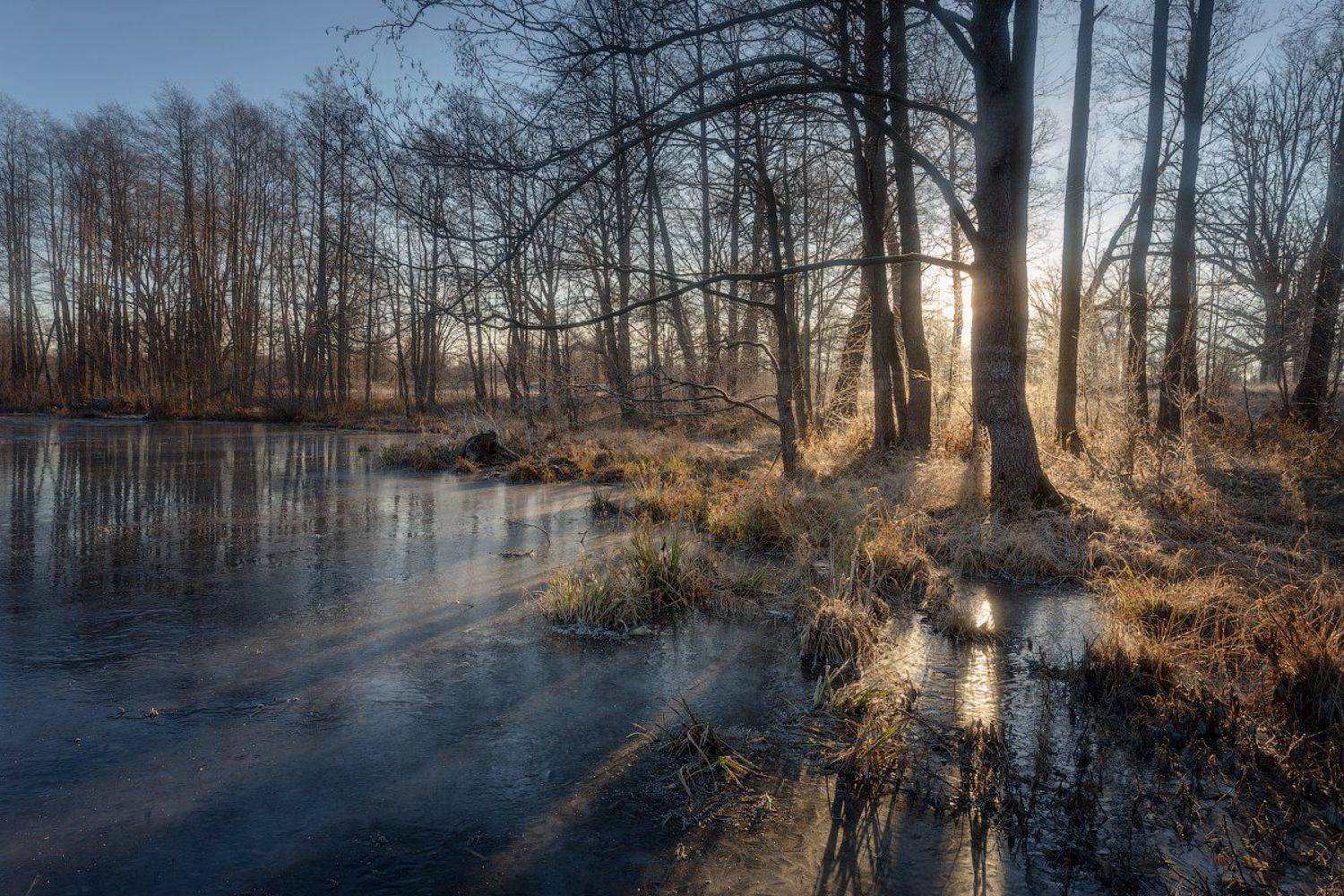 , Михаил Корнилов