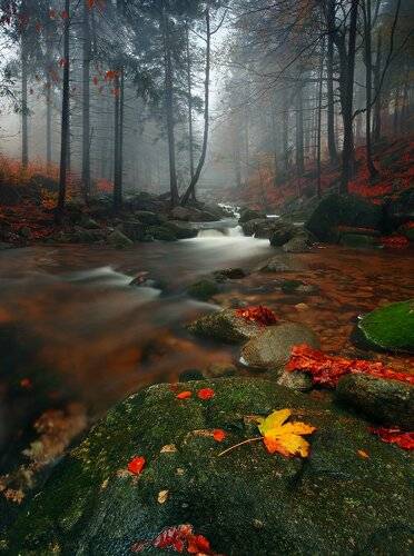 Autumn mood