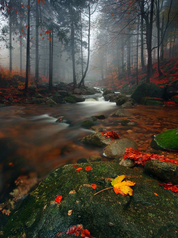 Autumn mood