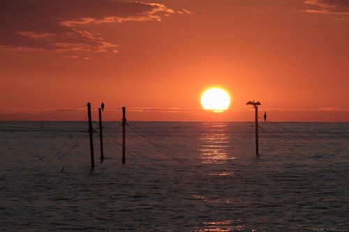 Восход солнца