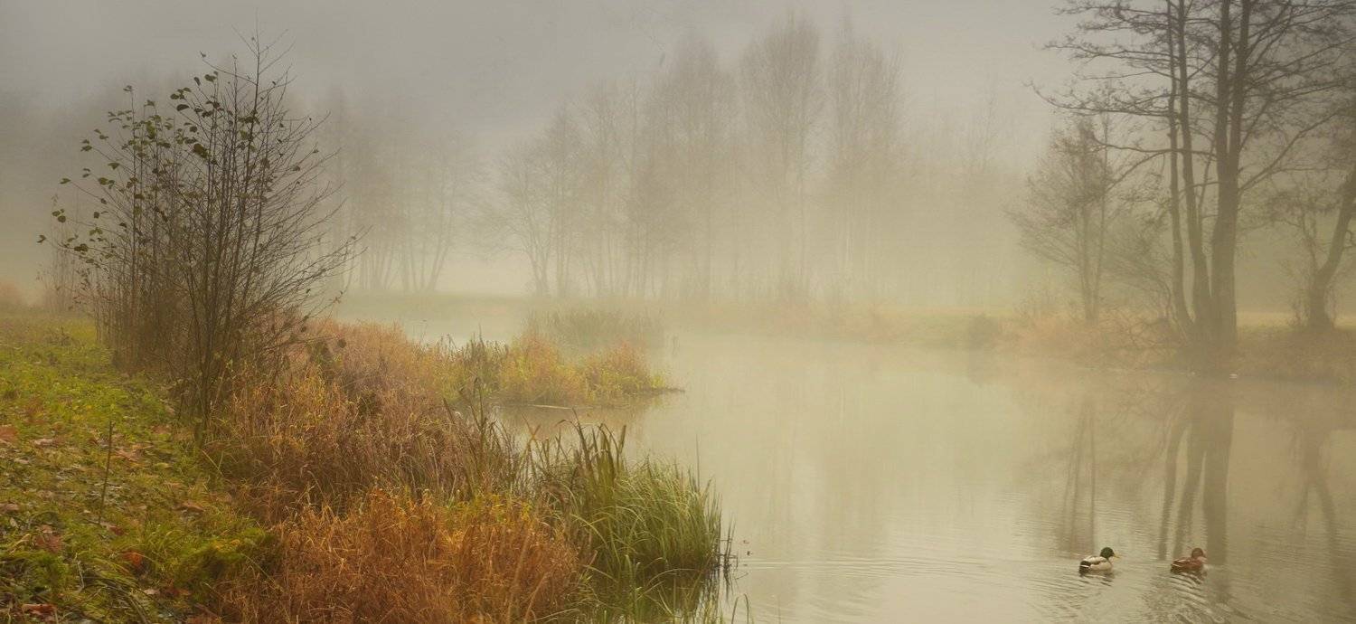 , Валерий Козуб