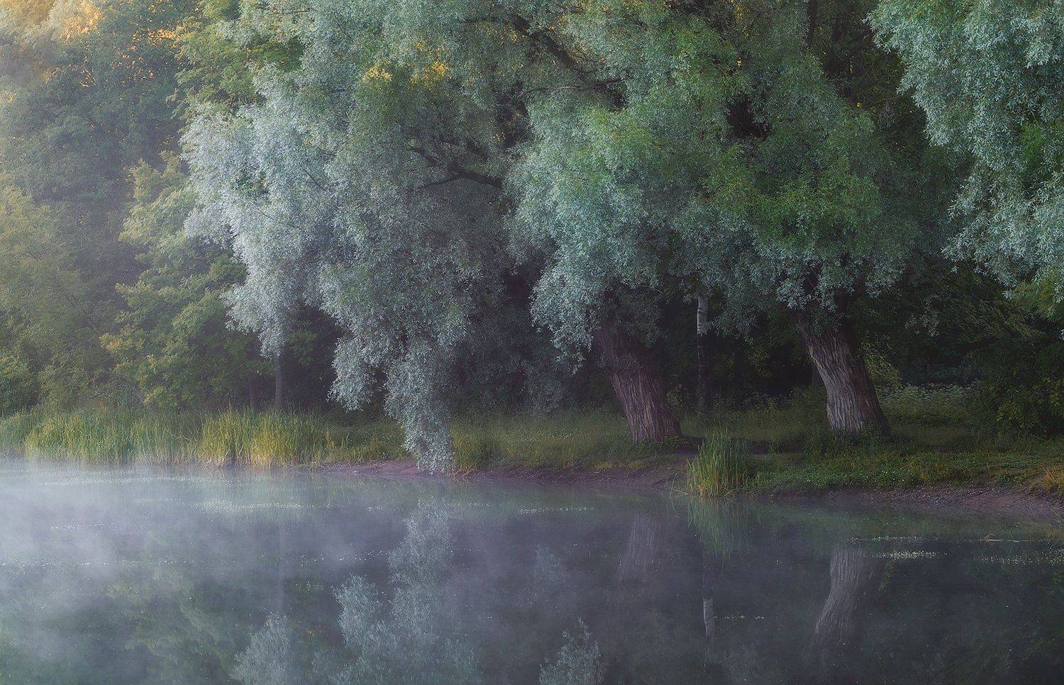 питер, пушкин, царскоесело, царское, утро, рассвет, туман, пейзаж, гелиос, helios,  landscape, tsarskoyeselo, Таня SHE (Aiya)