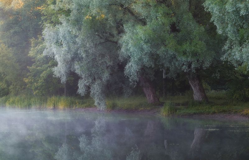 питер, пушкин, царскоесело, царское, утро, рассвет, туман, пейзаж, гелиос, helios,  landscape, tsarskoyeselo Там чудеса. . . фото превью