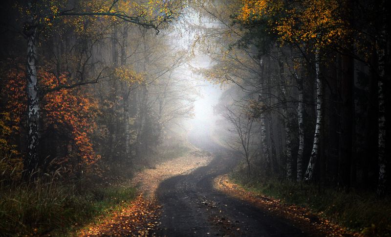 ...  фото превью