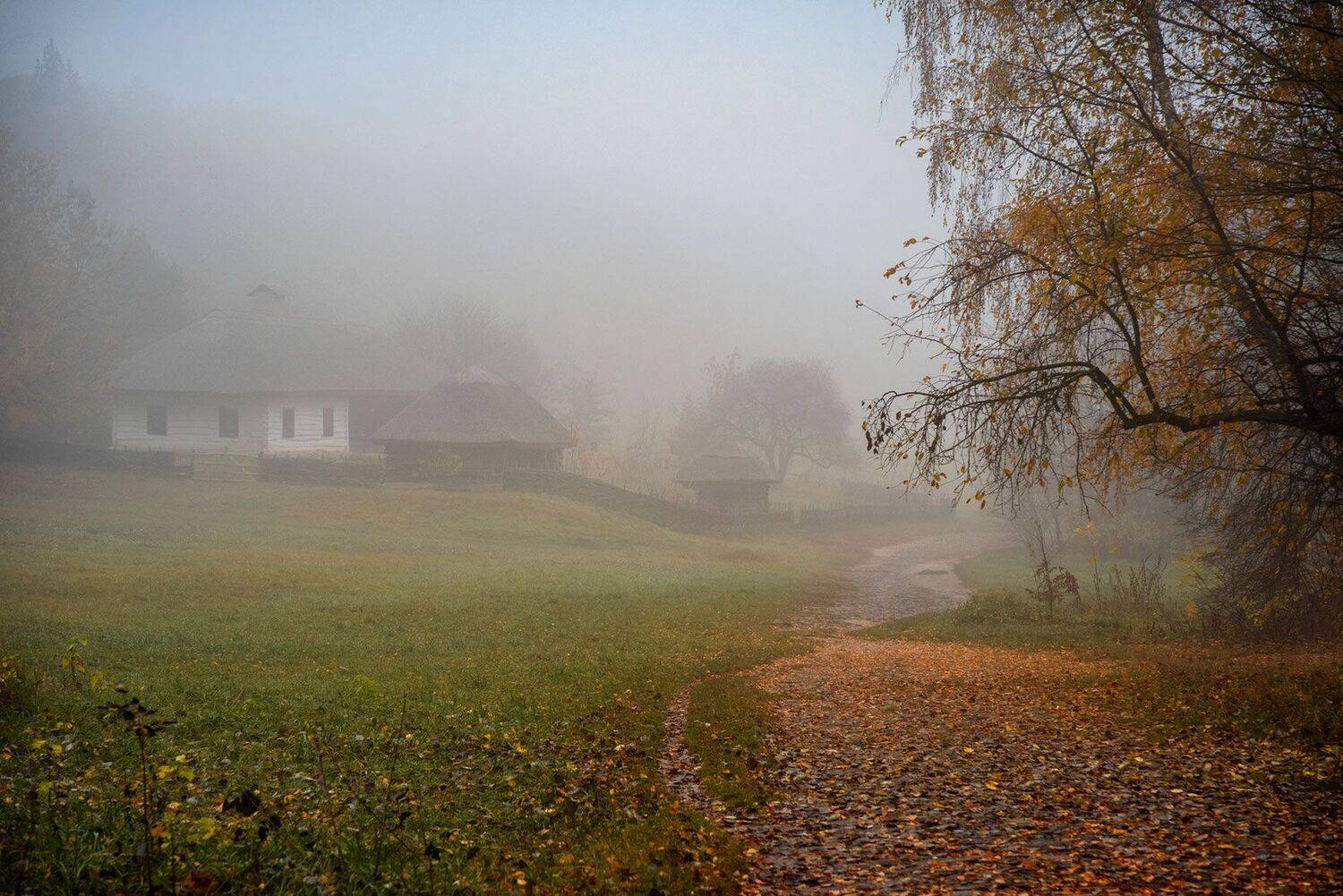 , Юрий Юрьев