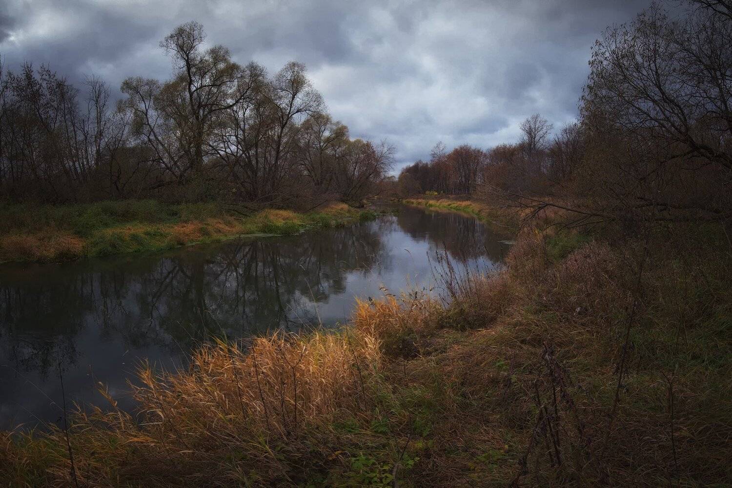 лес, природа, пейзаж, осень, река, вода, ручей, подмосковье, Алексей Никонов