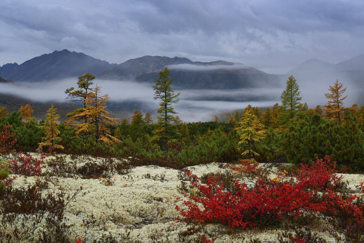 , Максим Евдокимов (phototourtravel.ru)