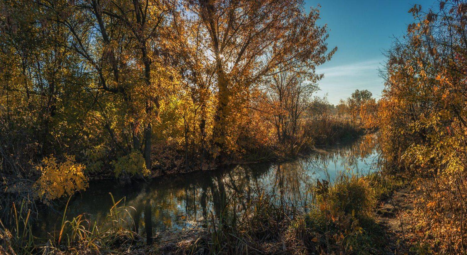 , Игорь Мелекесцев