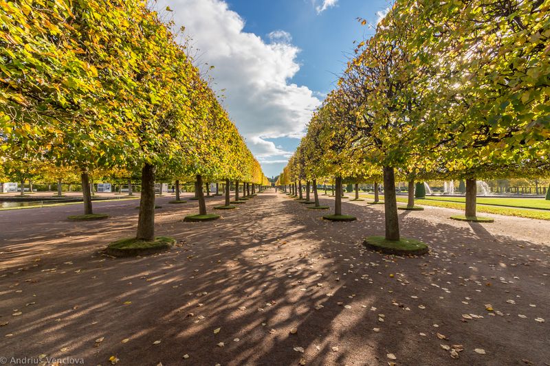 Autumn Alley фото превью