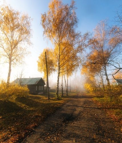 Утреннее