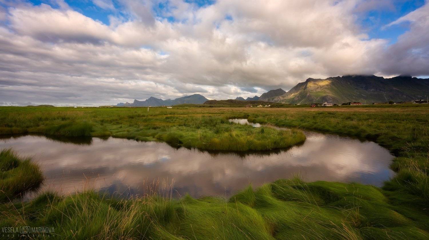 , Весела Маринова