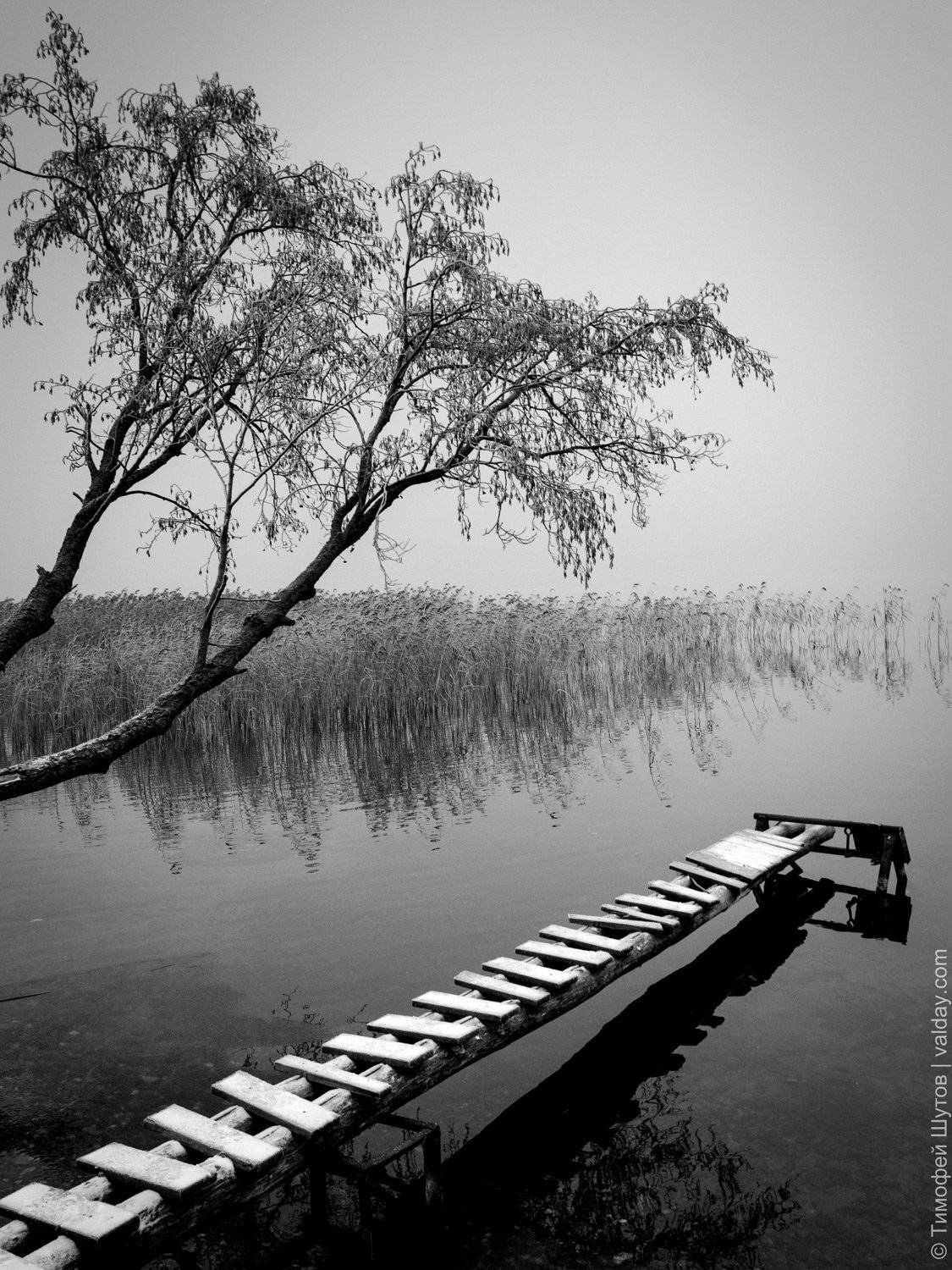 валдай, Тимофей Шутов