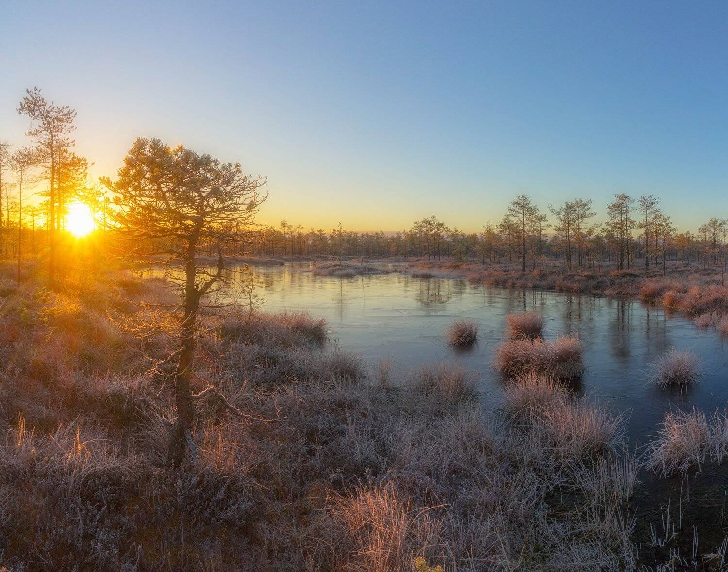 болото, рассвет ,туман, иней, мороз, Павел Ващенков