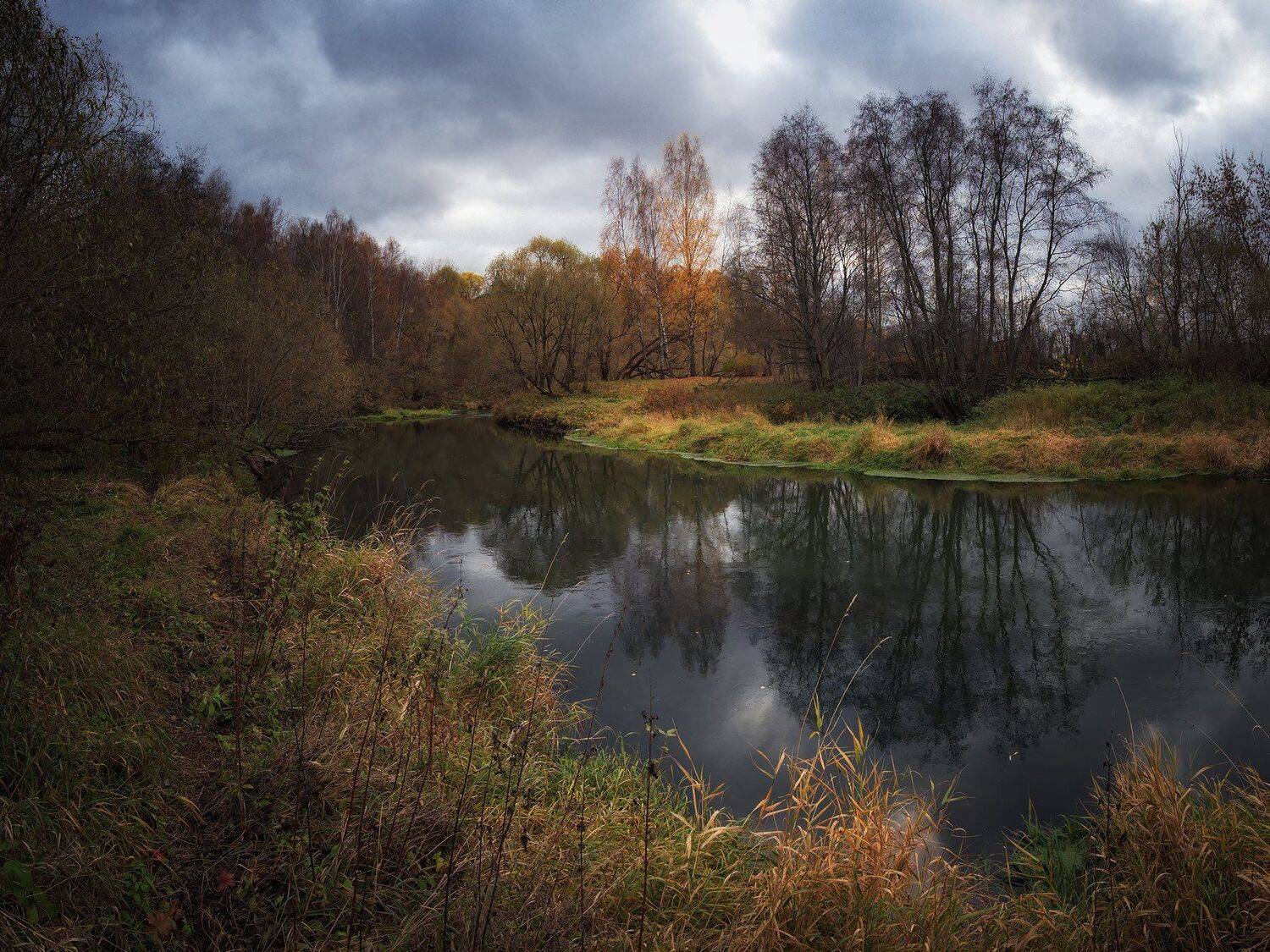 лес, природа, пейзаж, осень, река, вода, ручей, подмосковье, Алексей Никонов