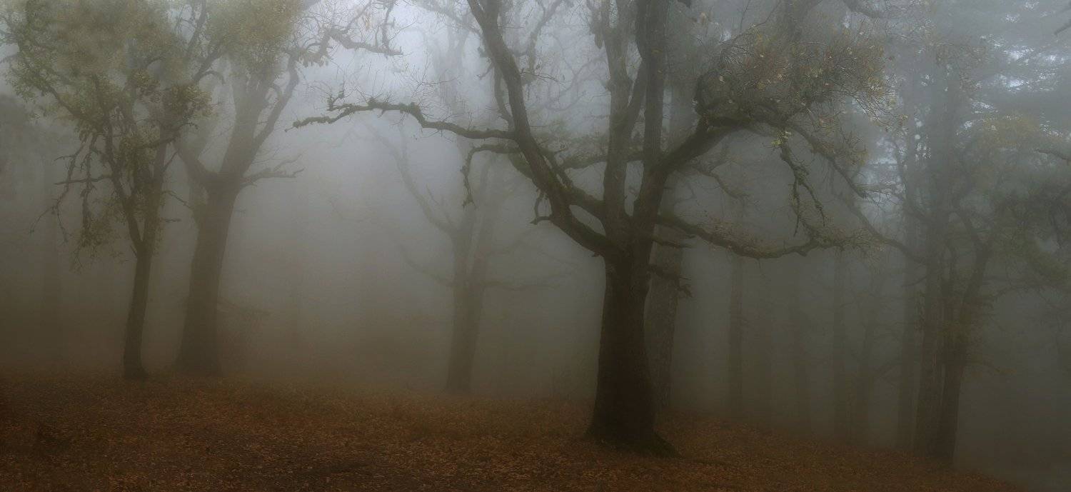 , Ирина Гайворонская