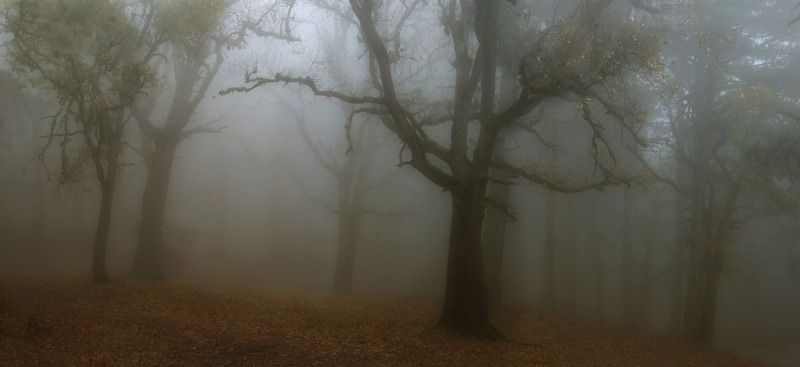 Туман фото превью