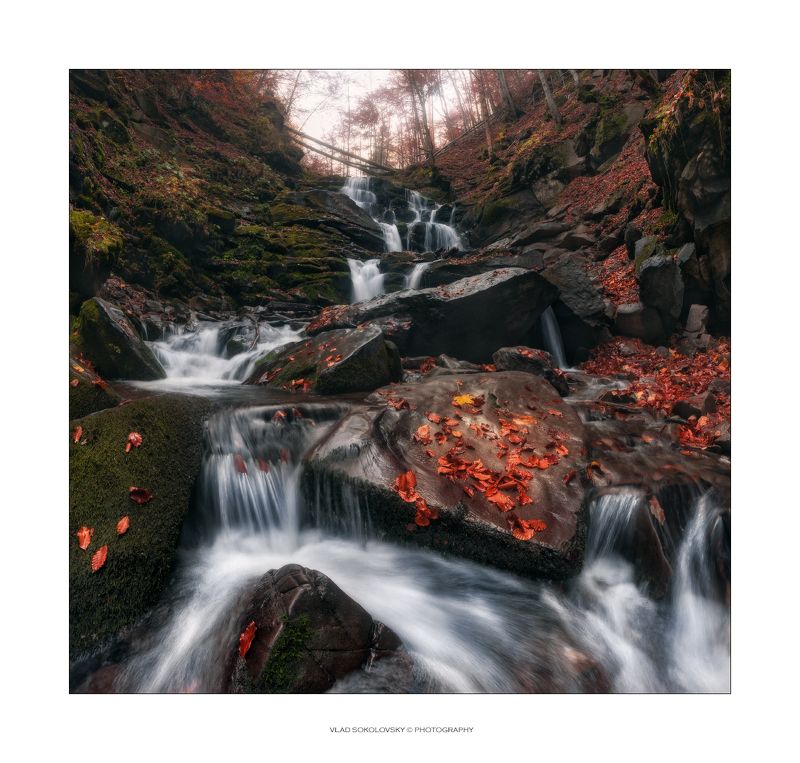 карпаты, украина, водопад, шипот, осень Осенний Шипот фото превью