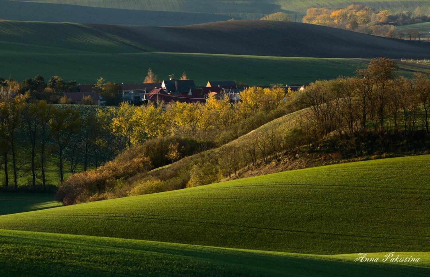 , Анна Пакутина