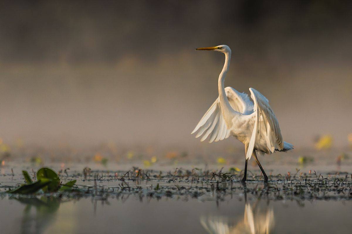, Sławek Przybylski