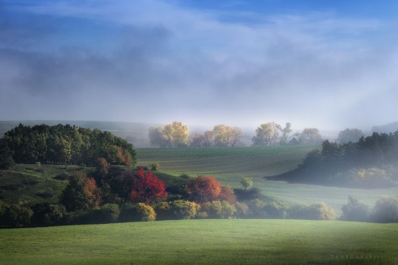 landscape,fog,fogy,zanfoar,nikon d750,haze,misty,czech republic,mood,moody,чехия colors of autumn фото превью