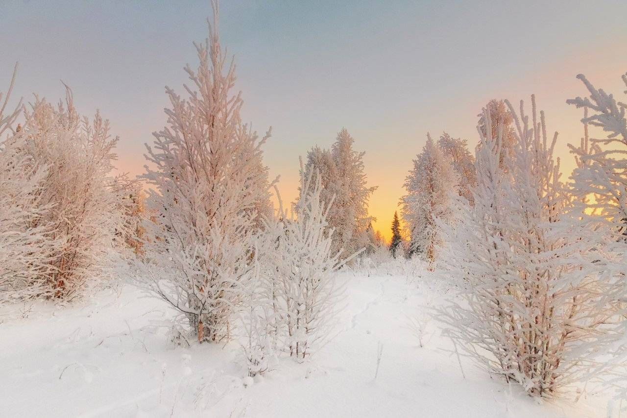 печора,солнце,зима, Игорь Подобаев