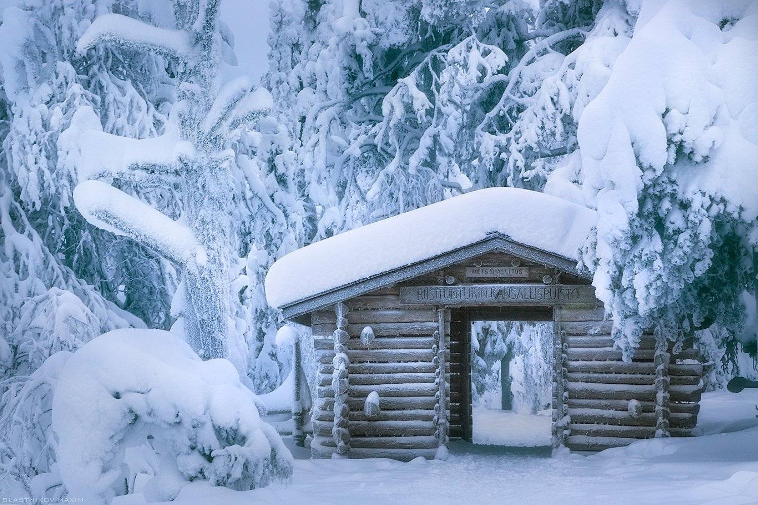 финляндия, снег, дерево, дом, тропинка, сугробы, мороз, холод, лес, путешествие, парк, travel, explore, snow, frost, trees, forest, travel, trekking, day, winter, Максим Сластников